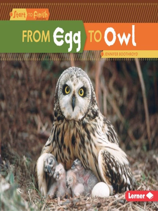 Title details for From Egg to Owl by Jennifer Boothroyd - Wait list